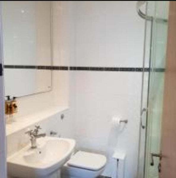 Parc Y Bryn Luxury Penthouse Apartment Абъристуит Екстериор снимка