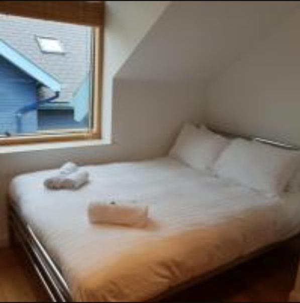 Parc Y Bryn Luxury Penthouse Apartment Абъристуит Екстериор снимка